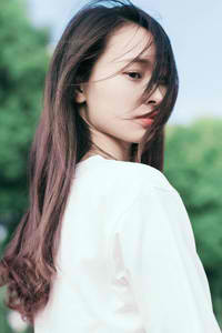 玫瑰故事电视剧