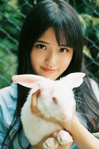 斗龙战士3龙印之战